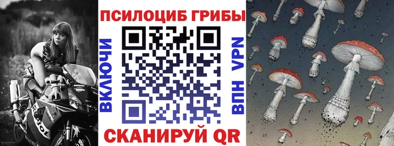 Псилоцибиновые грибы Psilocybe  где купить наркоту  Гаджиево 